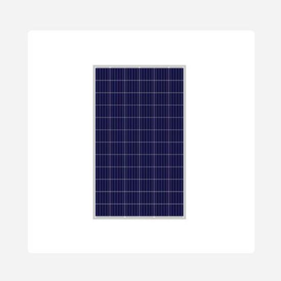 Picture of Solar Module 100W